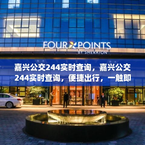 嘉兴公交244实时查询，便捷出行，瞬间掌握