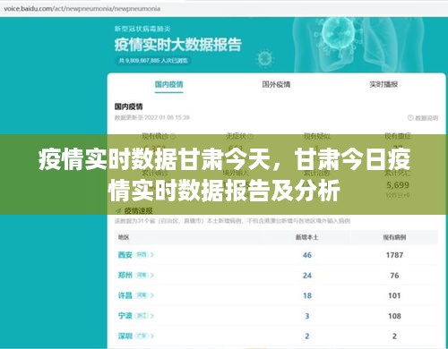 甘肃今日疫情实时数据报告，最新数据分析与报告