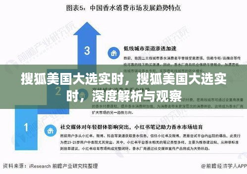 搜狐深度解析美国大选实时动态与观察