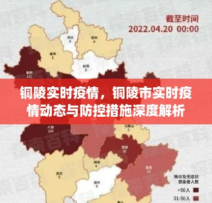 铜陵市实时疫情动态与防控深度解析