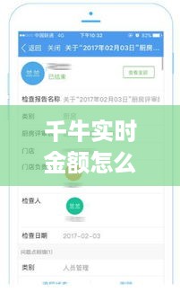 千牛实时金额查看指南，轻松掌握经营数据，一目了然！