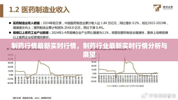 制药行业最新实时行情分析与展望，最新动态与市场展望