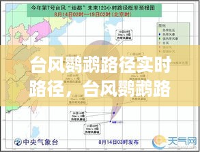 台风鹦鹉实时路径追踪与分析报告