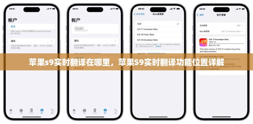 苹果S9实时翻译功能详解，位置与使用方法指南