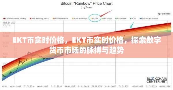 EKT币实时价格及数字货币市场趋势深度探索