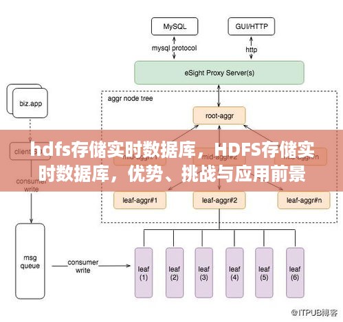 HDFS存储实时数据库，优势、挑战及应用前景探讨