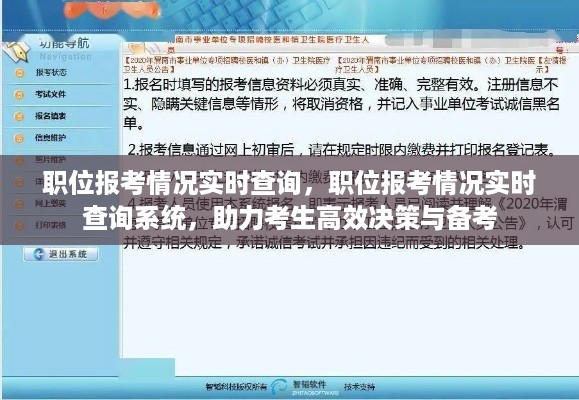 职位报考情况实时查询系统，助力考生高效决策与备考指南