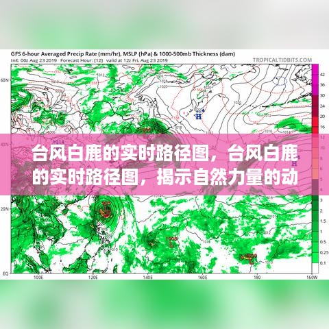 台风白鹿实时路径图，自然力量的动态演变与应对策略揭秘