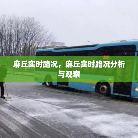 麻丘实时路况分析与观察报告