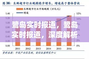 鹭岛动态报道，深度解读厦门城市发展的魅力与实时进展