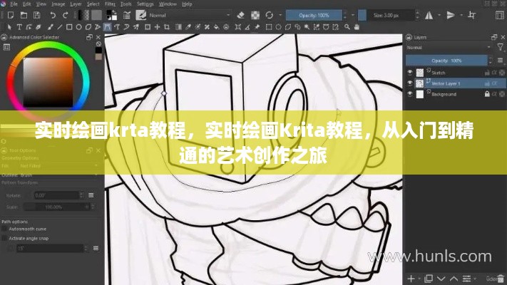 实时绘画Krita入门到精通，艺术创作之旅教程