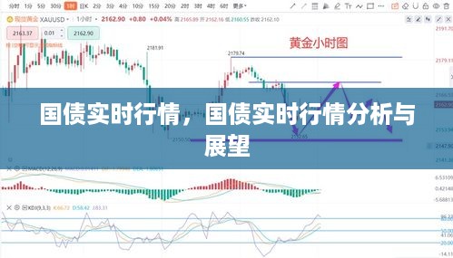 国债实时行情分析与展望，最新动态及未来趋势预测