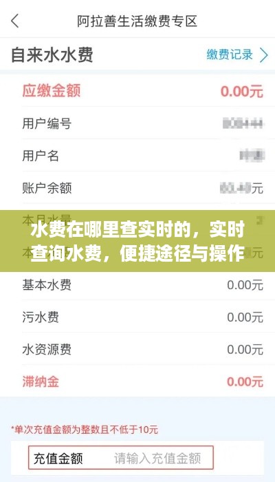 实时查询水费，便捷途径与操作指南
