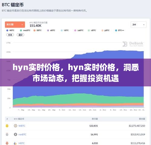 hyn实时价格监测，洞悉市场脉动，把握投资先机