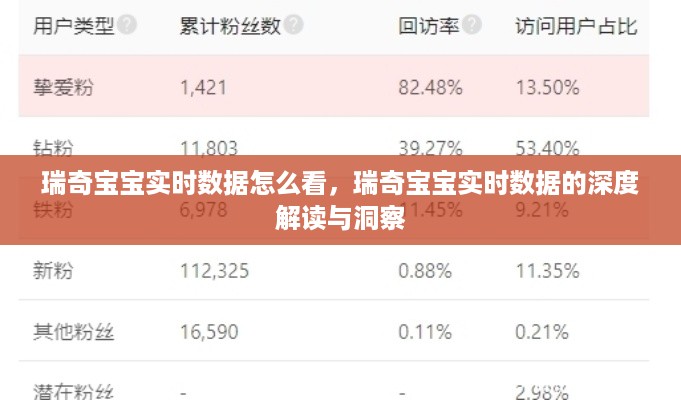 瑞奇宝宝实时数据解析，深度解读与洞察之道
