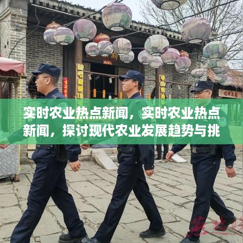 实时农业热点新闻聚焦，现代农业发展趋势与挑战探讨