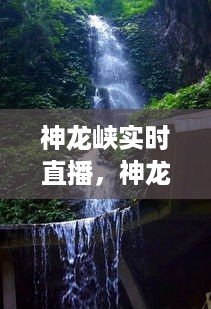 神龙峡实时直播，自然奇观与数字时代的无缝对接之旅