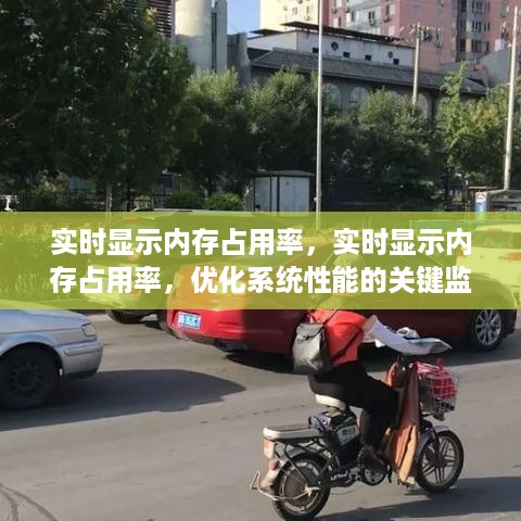 实时内存占用监控，优化系统性能的关键手段