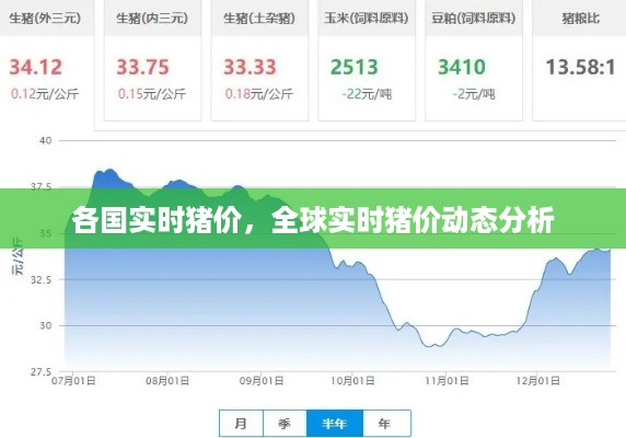 全球实时猪价动态分析与各国猪价对比