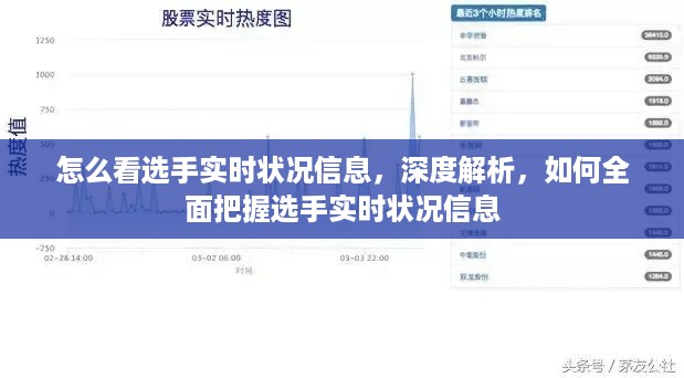 深度解析，如何全面把握选手实时状况信息详解