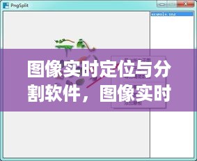 图像实时定位与分割软件，智能图像处理新时代的先锋技术领航者
