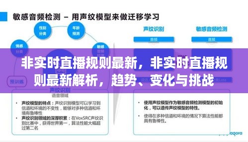 非实时直播规则最新解析，趋势、变化与挑战探讨