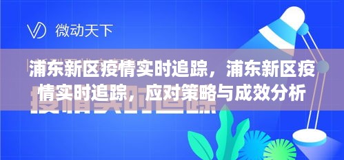 浦东新区疫情实时追踪，应对策略与成效分析及其追踪进展报告