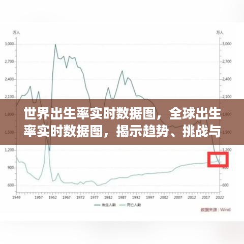 全球出生率实时数据图，揭示趋势、挑战与未来展望分析