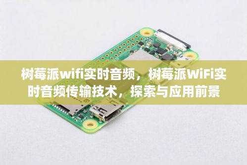 树莓派WiFi实时音频传输技术的探索与应用前景