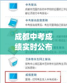 成都中考成绩实时公布，新时代教育透明化的展现