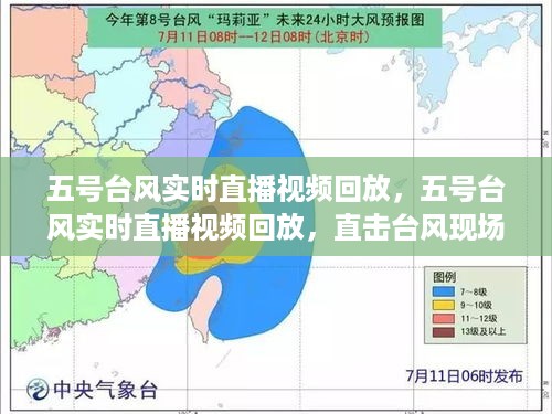 五号台风直播回顾，现场直击与防范知识科普