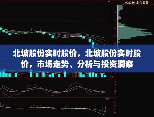 北坡股份实时股价分析与市场走势深度洞察，投资洞察报告