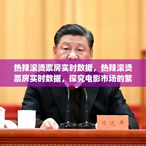 热辣滚烫票房实时数据，探究电影市场的繁荣与挑战及其挑战