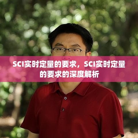 SCI实时定量要求及其深度解析概述