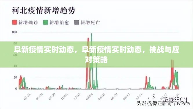 阜新疫情实时动态，挑战与应对策略