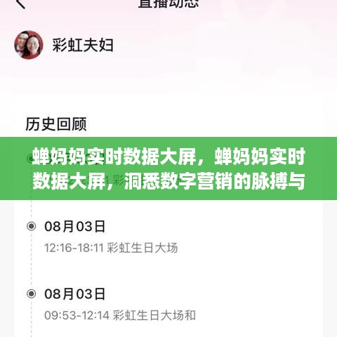 蝉妈妈实时数据大屏，洞悉数字营销脉搏与趋势的利器