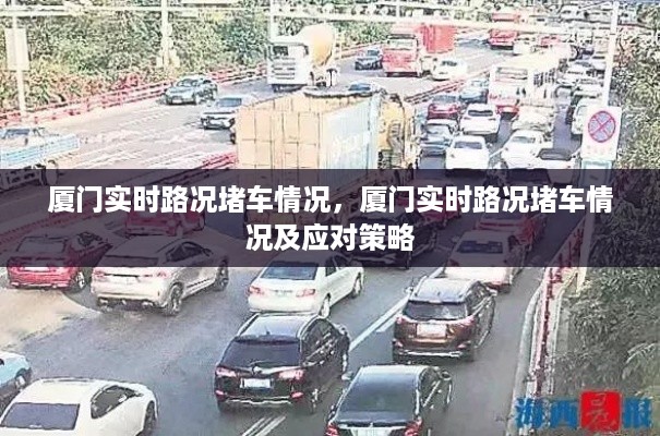 厦门实时路况堵车概览与应对策略