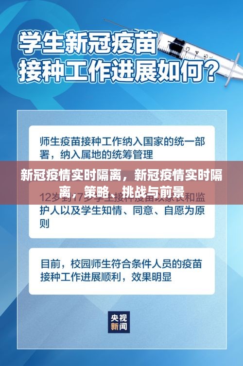 新冠疫情实时隔离策略，挑战、实施与未来展望