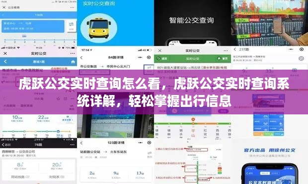 虎跃公交实时查询系统详解，轻松掌握出行信息的实用指南