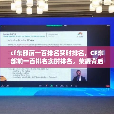 CF东部前一百排名实时更新，荣耀背后的挑战与故事