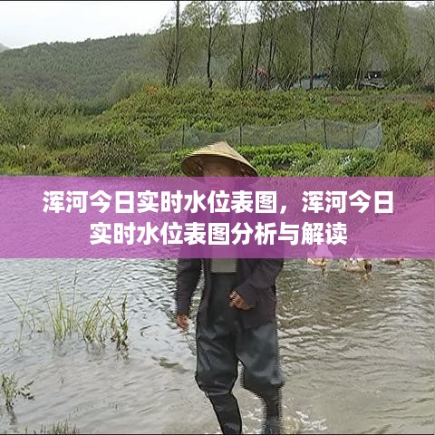 浑河今日实时水位表图及其分析与解读