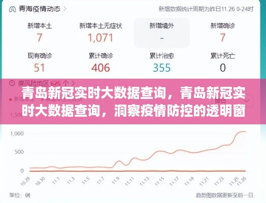 青岛新冠实时大数据查询平台，洞察疫情防控的透明窗口