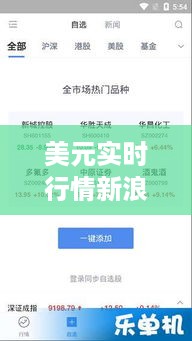 新浪网美元实时行情，洞悉全球货币动态与投资策略最新动态