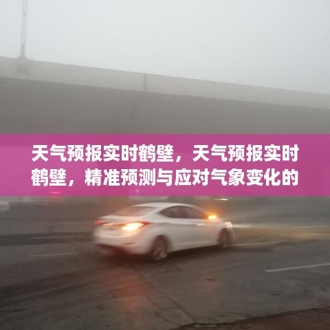 鹤壁实时天气预报，精准预测气象变化，应对天气挑战的关键