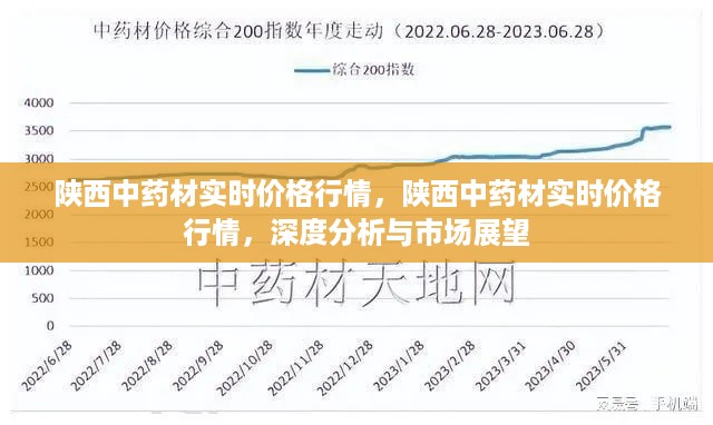 陕西中药材实时价格行情解析及市场深度展望