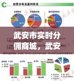 武安市实时分佣商城，重塑电商格局的新业态探索之旅