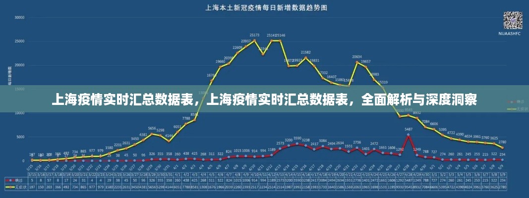 上海疫情实时数据汇总解析，全面洞察与深度分析