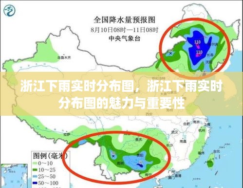 浙江降雨实时分布图，揭示魅力与重要性的数据概览