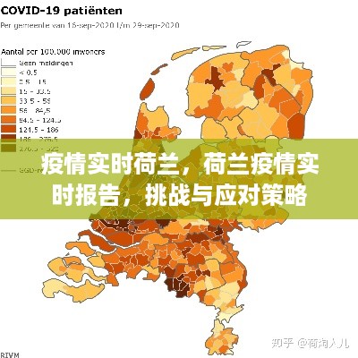 荷兰疫情实时报告，挑战与应对策略的更新进展