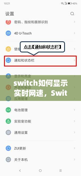 Switch实时网速显示指南，详细教程与技巧分享